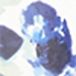 White-blue-multi