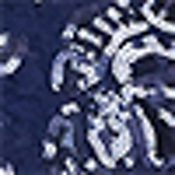 Indigo/Indigo Shine