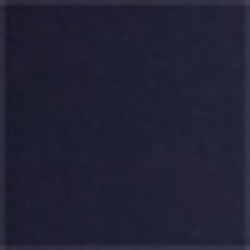 Navy/Navy