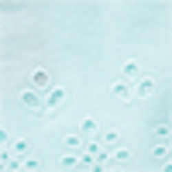 Crystal Blue