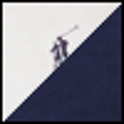 White/Navy