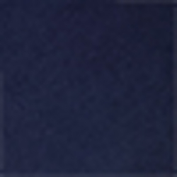 Cruise Navy