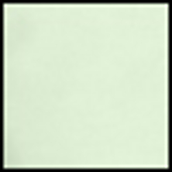Lime/White