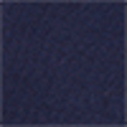 French Navy