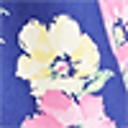 Navyprt