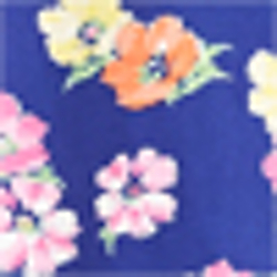 Navyprt