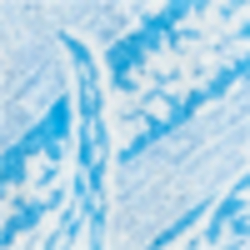 Blueprt