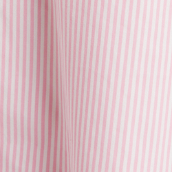 Pale Pink Stripe
