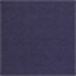 Spring Navy
