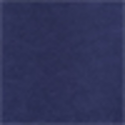 Spring Navy