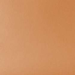 Field Brown/Orange