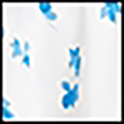 Blue Field White Multi