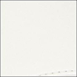 Vanilla