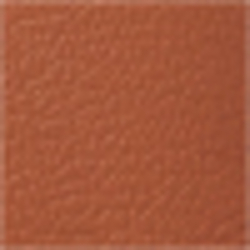 Lauren Tan/Orange
