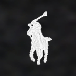 Polo Black