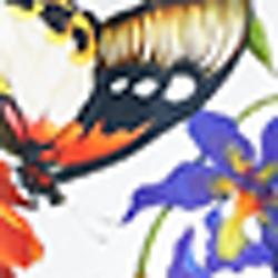 Tropical Floral