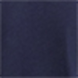 Cruise Navy
