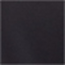 Polo Black