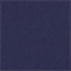 French Navy