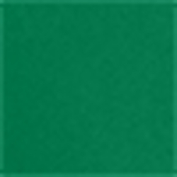 Bush Green