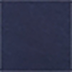 Spring Navy