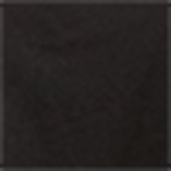 Polo Black
