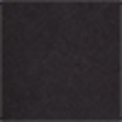 Polo Black