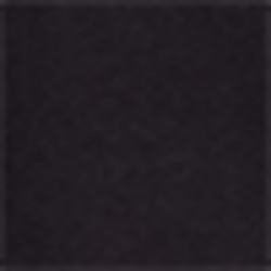 Polo Black