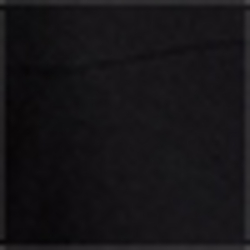 Polo Black