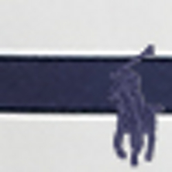 White/French Navy