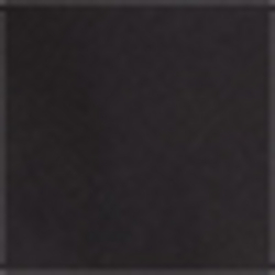 Polo Black