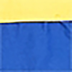 Slicker Yellow/Graphic Ro