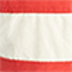 American Flag
