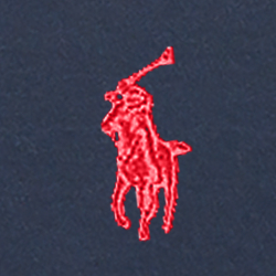 French Navy