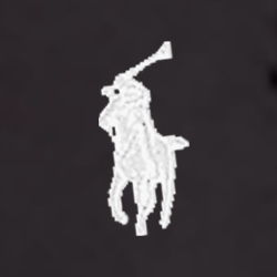 Polo Black
