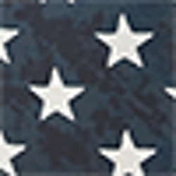 Navy/White