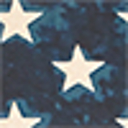 Navy/White