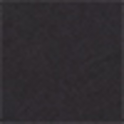 Polo Black