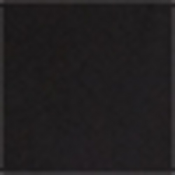 Polo Black