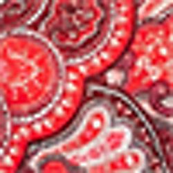 Red Multi