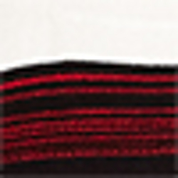 White/Polo Blk/Red