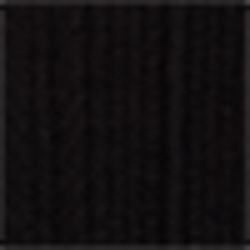 Polo Black