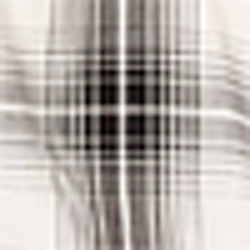 Black Multi