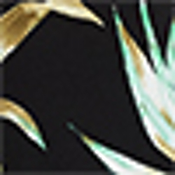 Black Multi