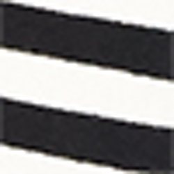 Polo Black/Parchment