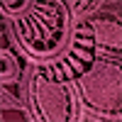 Exotic Ruby