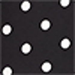 Black/Cream