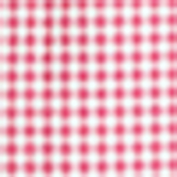 Ultra Pink/White