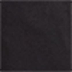 Polo Black