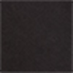 Polo Black